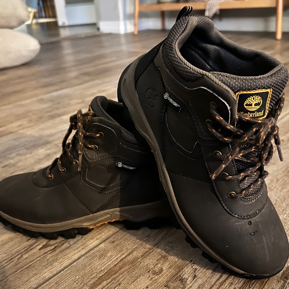 Timberland Boys Waterproof Brown Hiking Boots